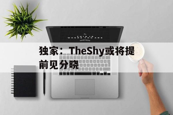 独家：TheShy或将提前见分晓(曝gala走是因为theshy不打了)